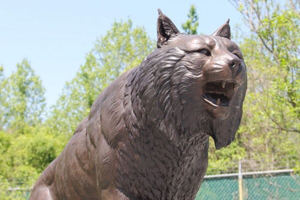 Large scale Garden Bob Cat Bronze Sculpture High End Quality Statue